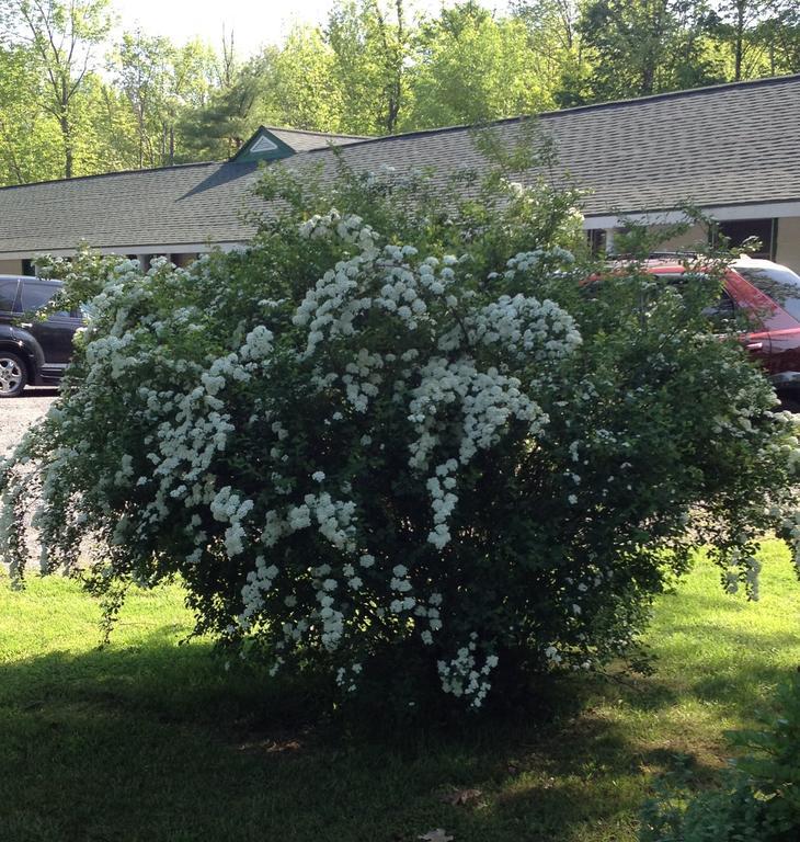 Mcgregor Inn Motel Wilton Zewnętrze zdjęcie